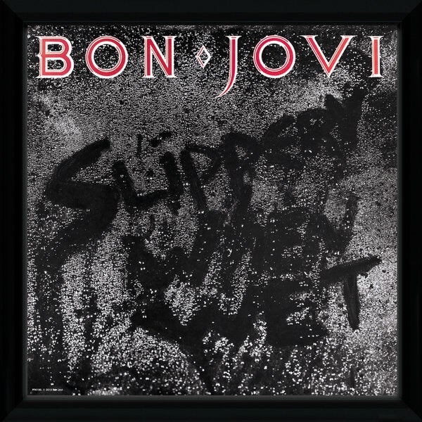 Bon Jovi Slippery When Wet Framed Album Cover - 12"" x 12"