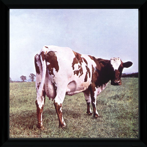 Pink Floyd Atom Heart Framed Album Cover - 12"" x 12"