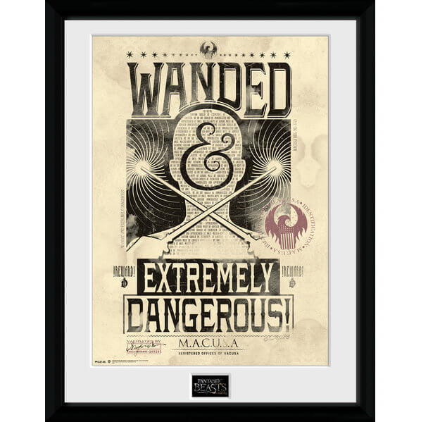 Fantastic Beasts Wanted Framed Album Cover - 12"" x 12"