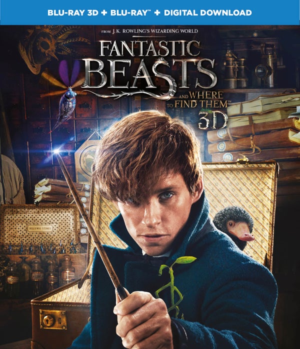 Fantastic Beasts and Where To Find Them 3D (Includes 2D Version)