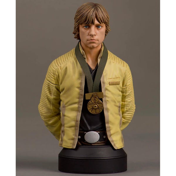 Star Wars Luke Skywalker Hero of Yavin Bust