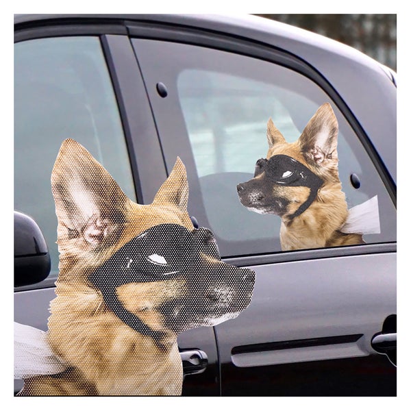 Ride With Car Stickers - Dog