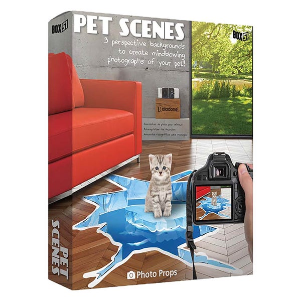 Pet Scenes Floor Sticker