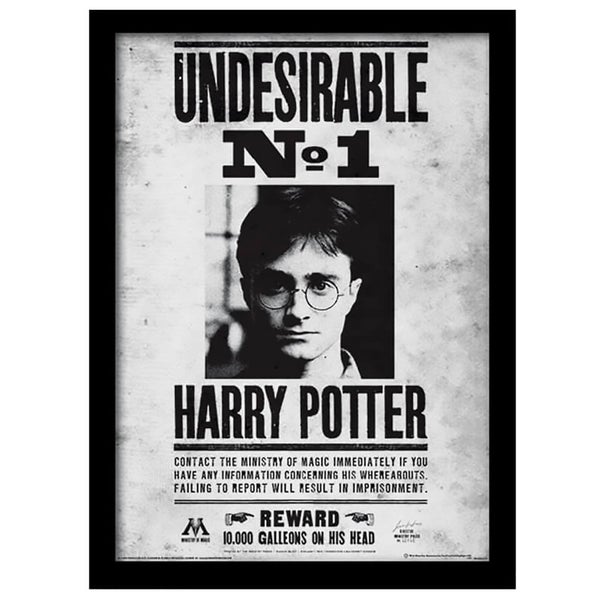 Affiche Encadrée Indésirable Numéro 1 Harry Potter - 30 x 40 cm