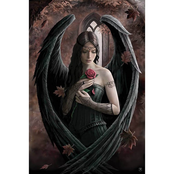Anne Stokes Angel Rose - 61 x 91.5cm Maxi Poster