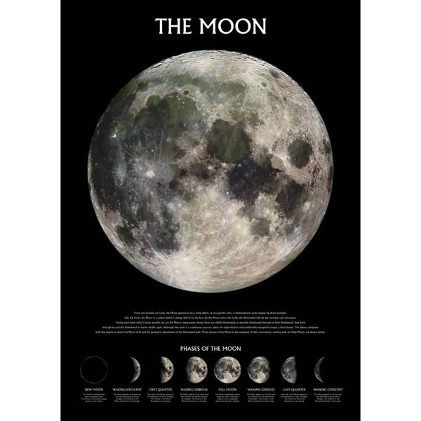 The Moon - 61 x 91.5cm Maxi Poster