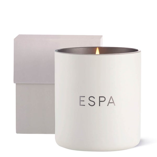 Свеча с ароматом сладких зимних специй ESPA Winter Spice Candle - 410 г