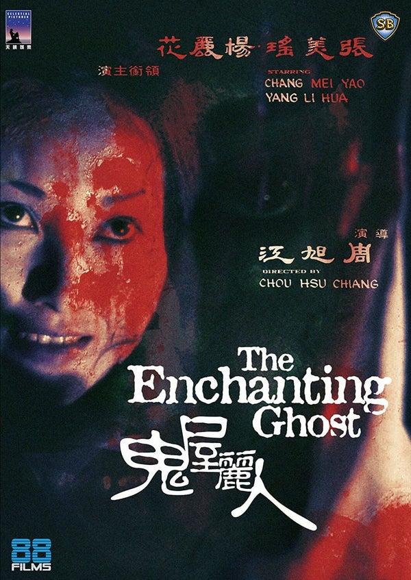 The Enchanting Ghost