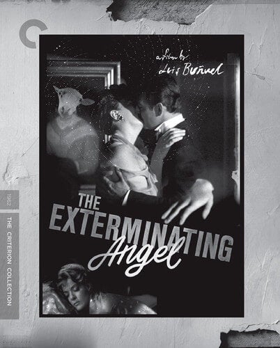 Criterion Collection: Exterminating Angel