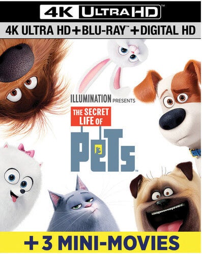Secret Life Of Pets - 4K Ultra HD