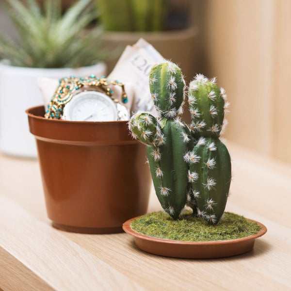 Cactus Pot Safe
