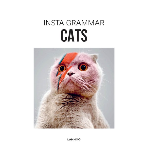 Insta Grammar: Cats (Paperback)