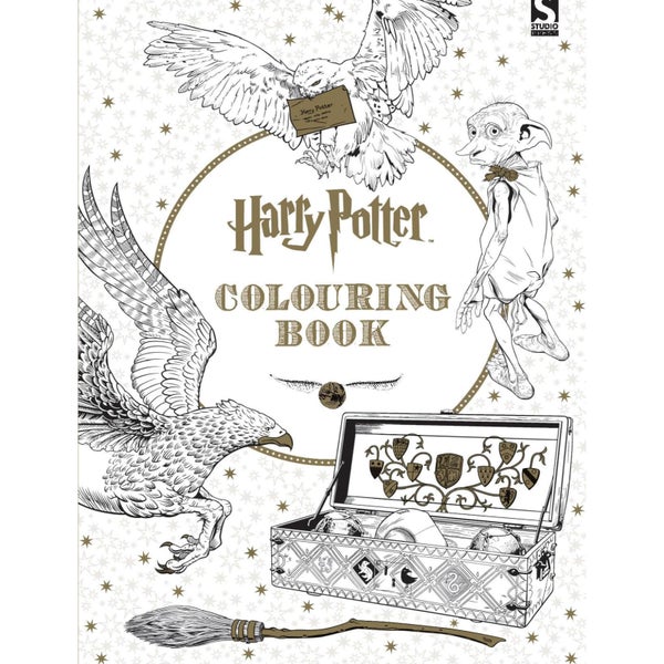 Livre de Coloriage Harry Potter - Édition Brochée