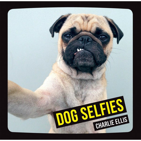 Dog Selfies (Hardback)