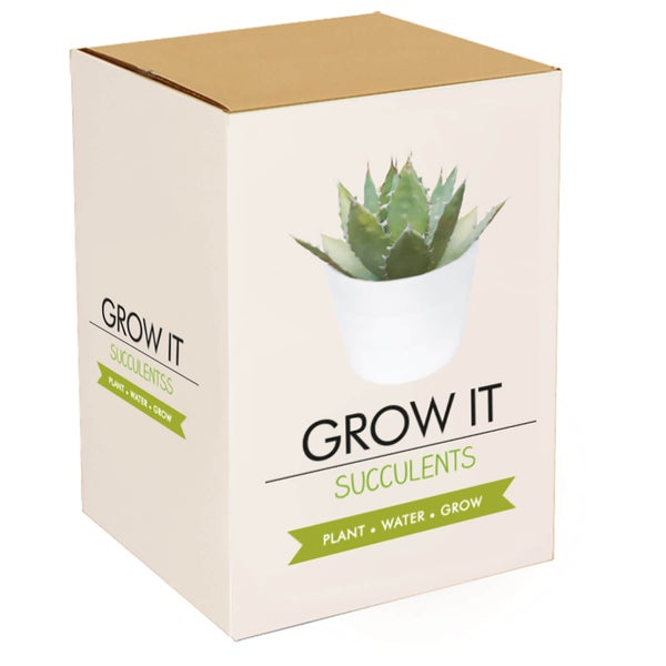 Grow It: Sukkulent Set zum Selberzüchten