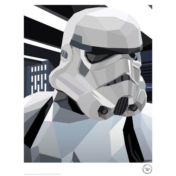 Star Wars The Original Stormtrooper Battle Station Trooper Print