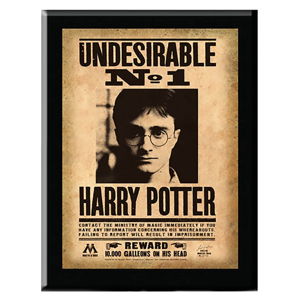 Harry Potter Plakette Harry Potter Undesirable No. 1