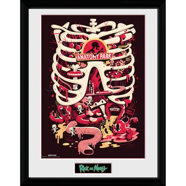 Rick and Morty Anatomy Park 12 x 16 Inches Framed Photograph