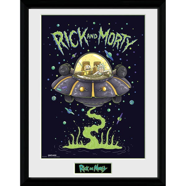Rick and Morty Ship 12 x 16 Inches Framed Photograph