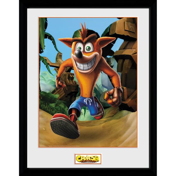 Crash Bandicoot Crash 12 x 16 Inches Framed Photograph