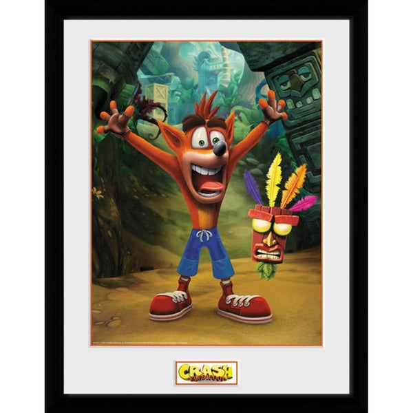 Crash Bandicoot Aku Aku 12 x 16 Inches Framed Photograph