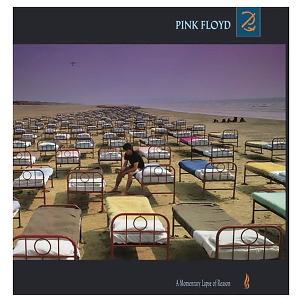 Pink Floyd - Momentary Lapse Of Reason - Vinyl