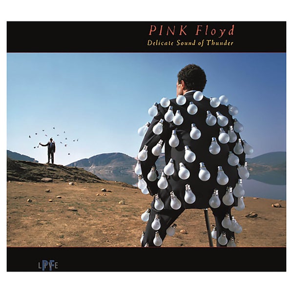 Pink Floyd - Delicate Sound Of Thunder (Live) - Vinyl