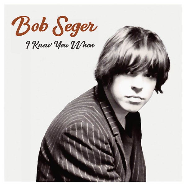 Bob Seger - I Knew You When - Vinyl
