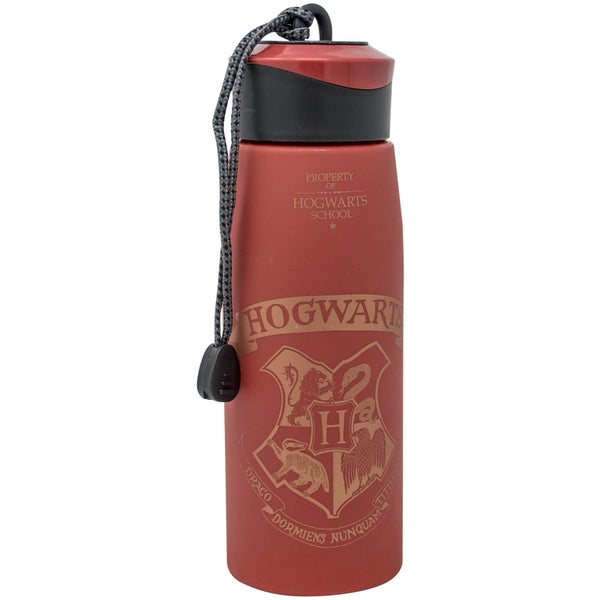 Harry Potter Water Bottle 550ml