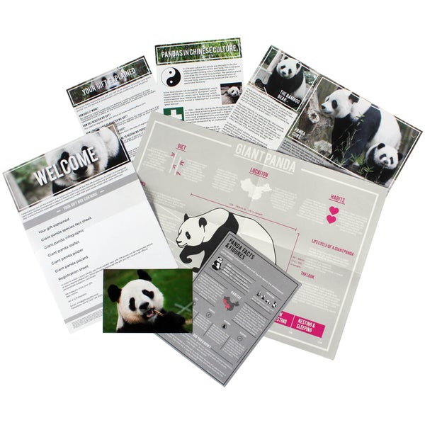 „Adoptiere einen Panda“ Geschenkset