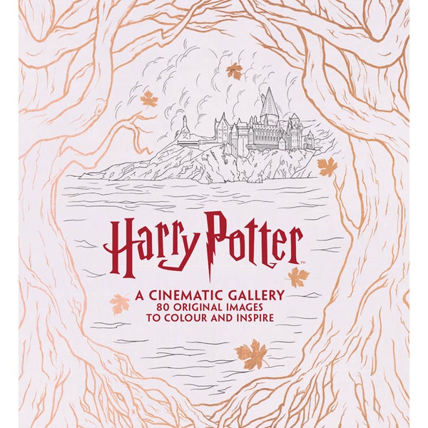 Harry Potter - A Cinematic Gallery (Hardback)