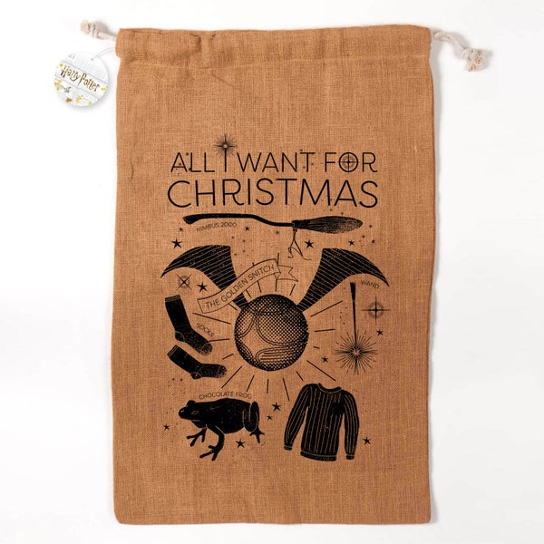 Harry Potter Officially Licensed All I Want for Christmas Christmas Sack