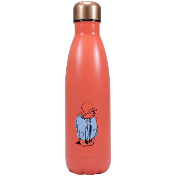Paddington Bear Water Bottle