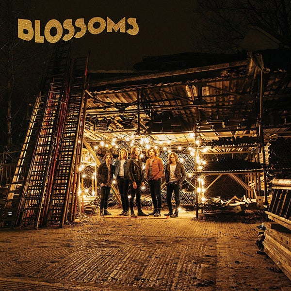 Blossoms - Blossoms Vinyl