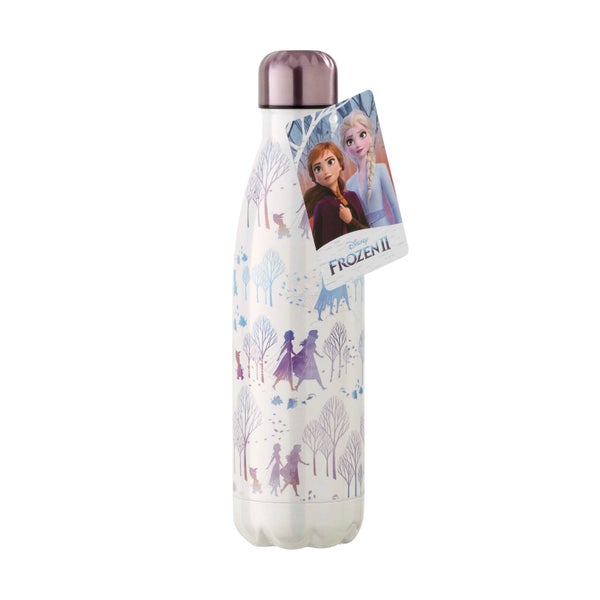 Funko Homeware Disney Frozen 2 Metal Water Bottle