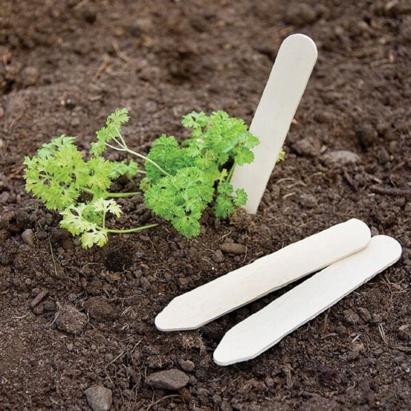 Pack of 25 Wooden Plant Labels - 13cm | Homebase