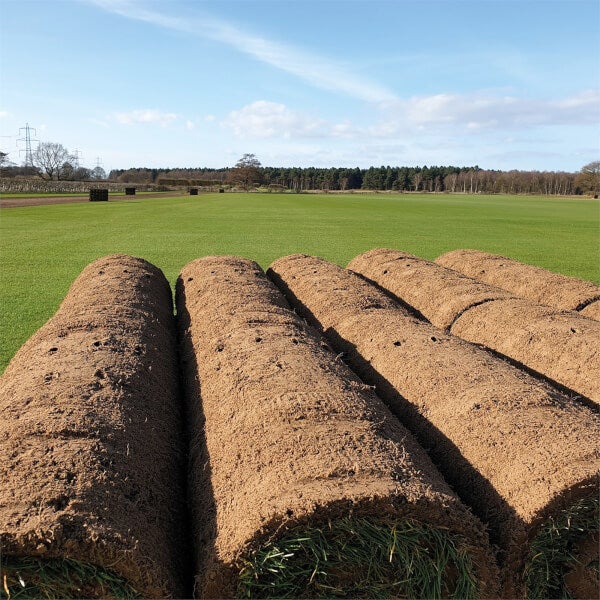 Classic Fresh Turf Roll Homebase