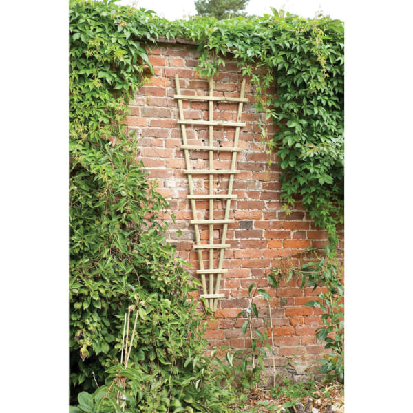 Offer Homebase Mixed Softwoods Traditional Fan Trellis