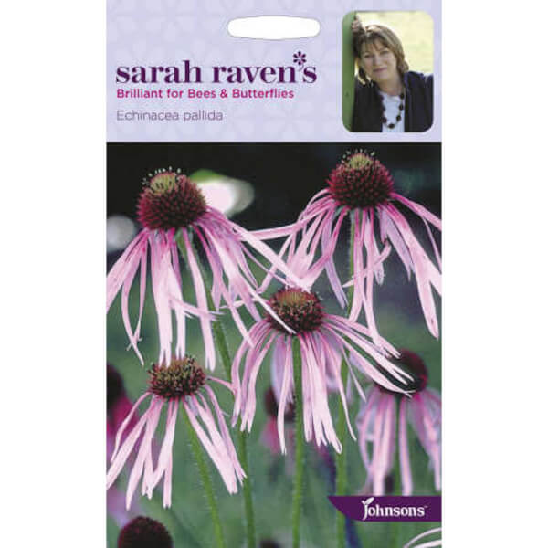 Sarah Ravens Echinacea Pallida Seeds Homebase
