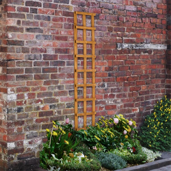 Heavy Duty Trellis 30cm Pack of 10 Homebase