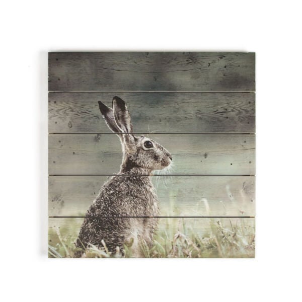 Hare Print On Wood Wall Art Homebase