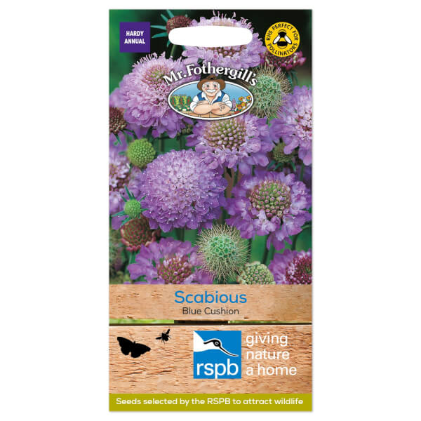 Mr. Fothergill's Scabious Blue Cushion Seeds Homebase