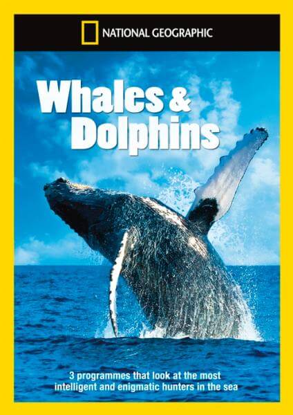 National Geographic: Whales & Dolphins Collection DVD - Zavvi UK