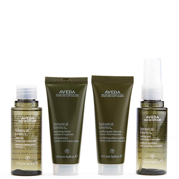 AVEDA BOTANICAL KINETICS WATER EARTH SKINCARE KIT - NORMAL/OILY (4 PRODUCTS)