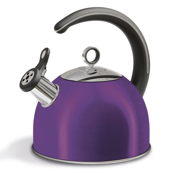 Morphy Richards 46503 Accents Whistling Kettle - Plum - 2.5L