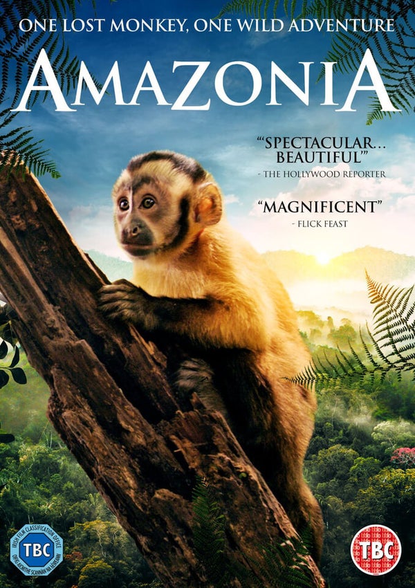 Amazonia