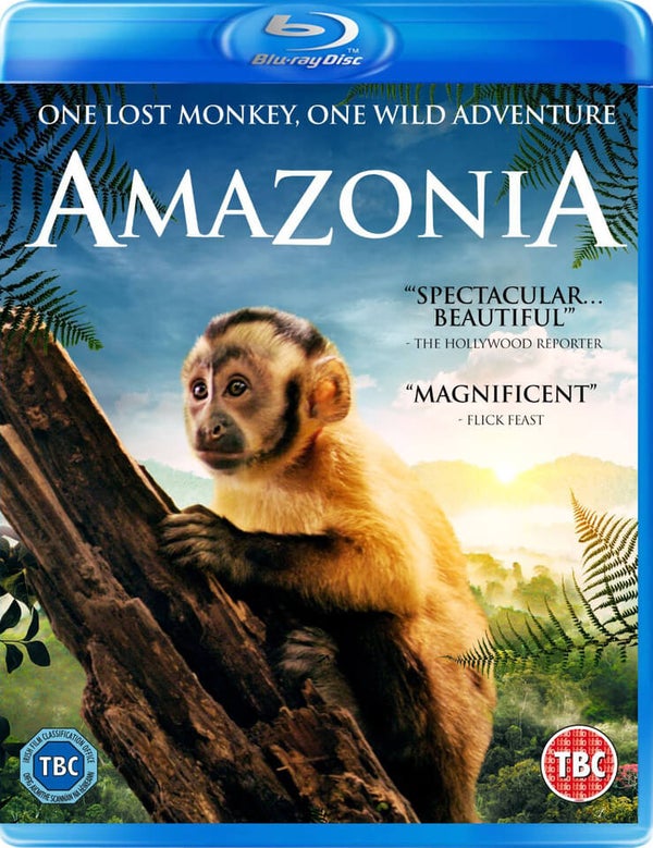 Amazonia 3D