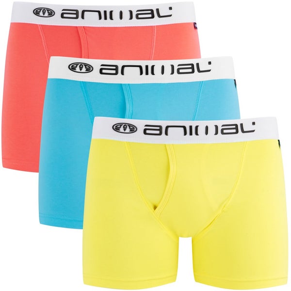 Animal Men's Ashto 3-Pack Boxer Shorts - Multi