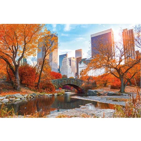 New York Central Park Autumn - Maxi Poster - 61 x 91.5cm