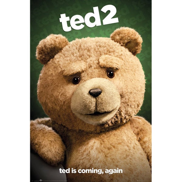 Ted 2 Close Up - Maxi Poster - 61 x 91.5cm